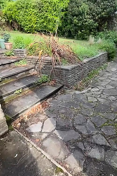 Pflaser - Foto2
